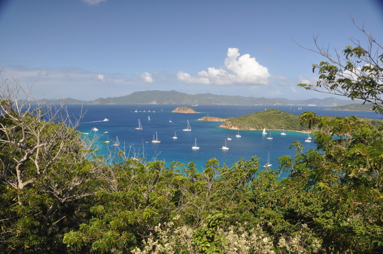 BVI Wrap Up