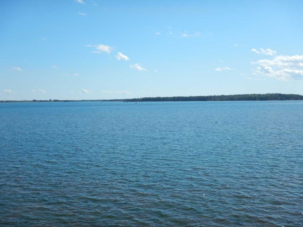 DSCN0610