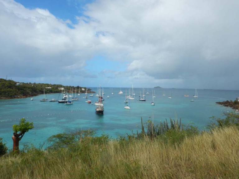 Growing Roots in Honeymoon Bay