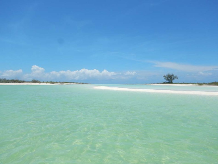 Conception Island
